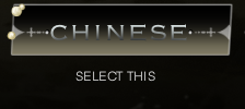Switch language